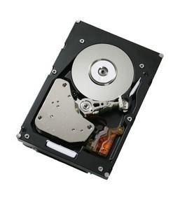 IBM 73GB hotswap 3.5inch 15K U320 **Refurbished**