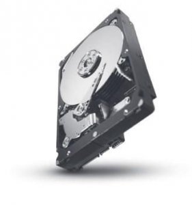 Seagate 1TB 7200rpm 16MB 3.5in SAS-6G **Refurbished** HDD