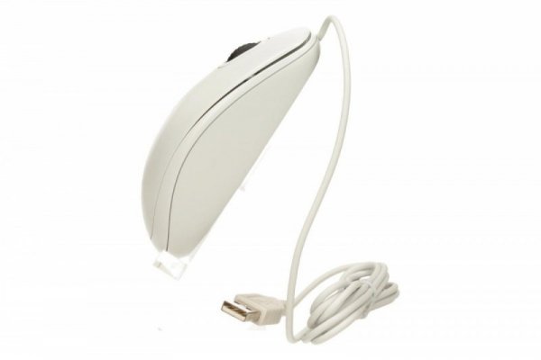 Logitech Mysz optyczna B100 OEM 910-003360 White
