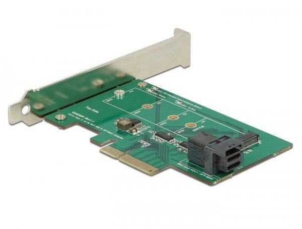 Delock Karta PCI Express 1 x wewnętrzny NVMe M.2 PCIe 1 x wewnętrzny. Konstrukcja niskoprofilowa