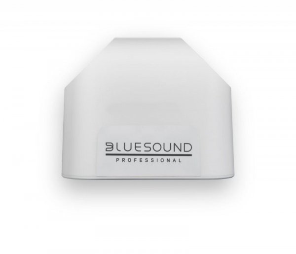 Bluesound Professional Głośnik sieciowy BSP200W ze zintegrowanym źródłem audio, PoE+, biały