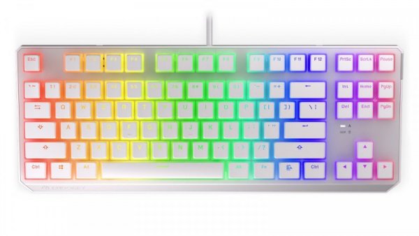 Endorfy Klawiatura gamingowa - Thock TKL OWH P. Kailh BR RGB