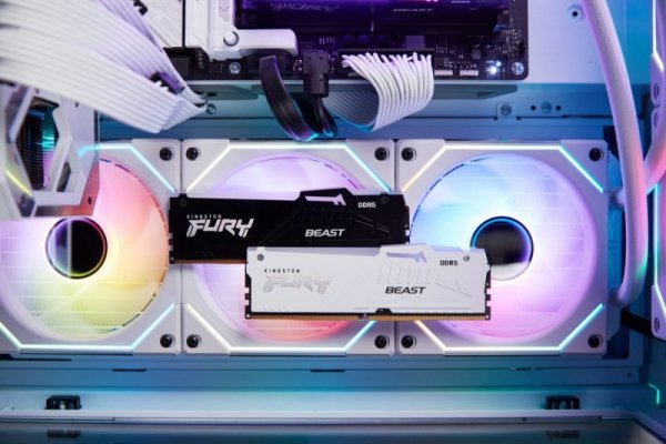 Kingston Pamięć DDR5 Fury Beast RGB 16GB(1*16GB)/6000 CL36 biała