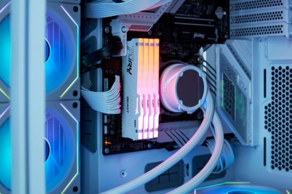 Kingston Pamięć DDR5 Fury Beast RGB 16GB(1*16GB)/6000 CL36 biała