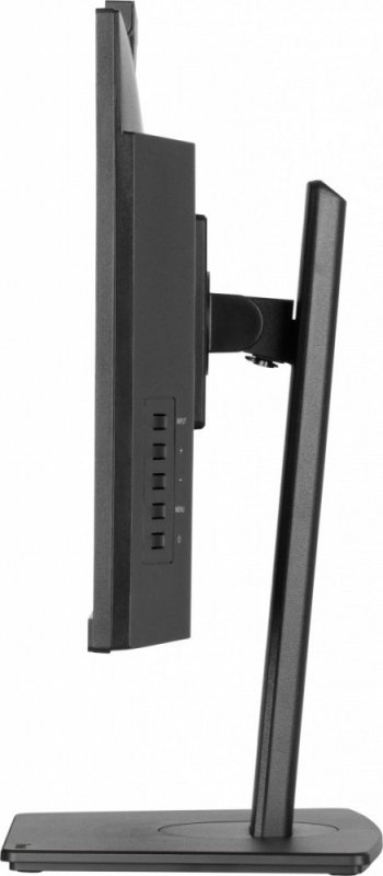 IIYAMA Monitor 24 cale XUB2490HSUH-B2 IPS,FHD,CAM,MIC,HDMI,DP