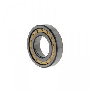 NUP307 -E-M1