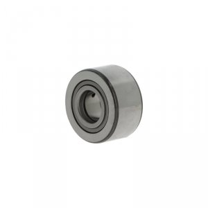 NUTR2562 X