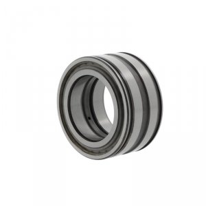 SL045030 DPPC3