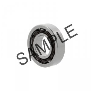 3003 -2RS-L237-C3