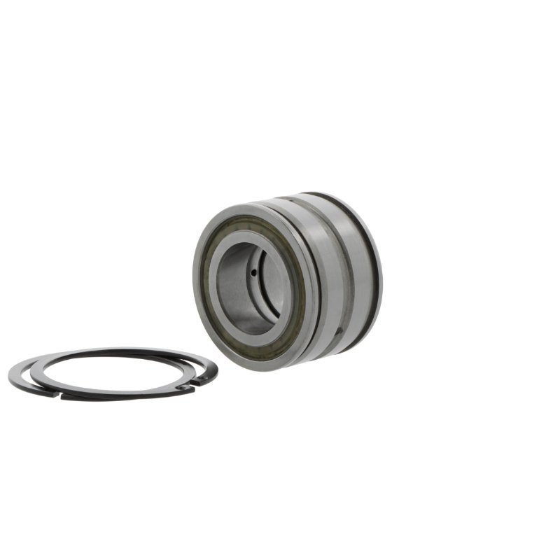 SL045020 DPP2NR