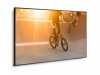 NEC Monitor wielkoformatowy 75 cali MultiSync P754Q UHD 650cd^m2 24^7 OPS