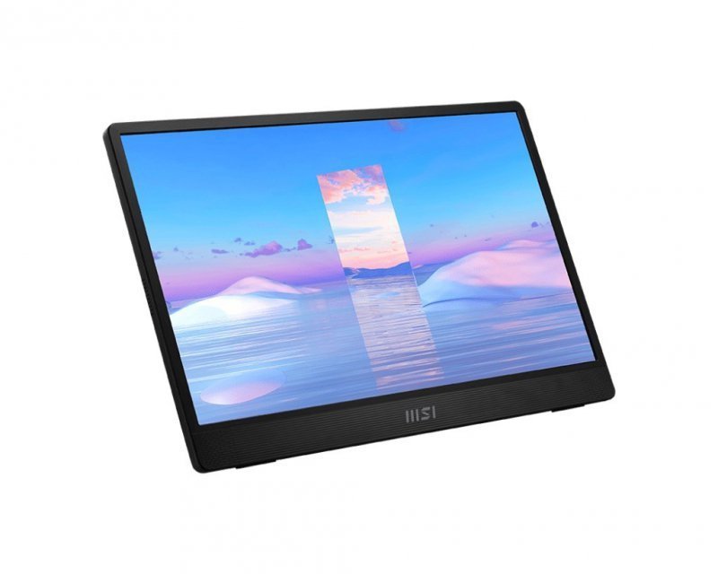 MSI Monitor PRO MP161 15,6 cala FHD^60Hz^2xUSB C