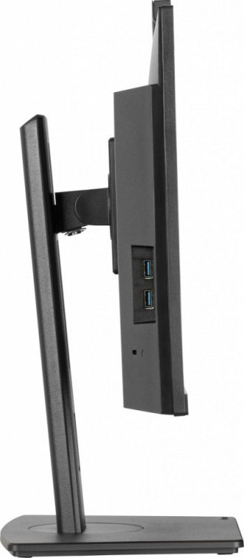 IIYAMA Monitor 24 cale XUB2490HSUH-B2 IPS,FHD,CAM,MIC,HDMI,DP