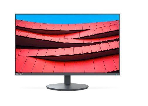 Sharp Monitor MultiSync DD-E244F 24 cale czarny