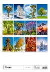 Kalendarz ścienny wieloplanszowy Trees 2024 - okładka tył