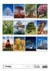 Podgląd wszystkich zdjęć z kalendarza Trees na rok 2025
