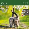 Kalendarz ścienny wieloplanszowy Cats 2023 z naklejkami - okładka 