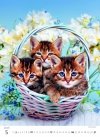 H33 Kalendarz ścienny wieloplanszowy Kittens 2026