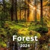 Kalendarz ścienny wieloplanszowy Forest 2024 - okładka