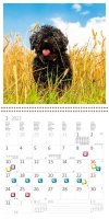 Kalendarz ścienny wieloplanszowy Dogs 2022 z naklejkami - styczeń 2022