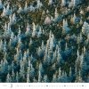 Kalendarz ścienny wieloplanszowy Forest 2025 - marzec 2025