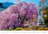 Kalendarz ścienny wieloplanszowy Gardens 2025 - marzec 2025