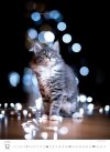 Kalendarz ścienny wieloplanszowy Kittens 2025 - grudzień 2025