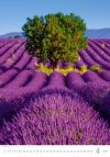 Kalendarz ścienny wieloplanszowy Provence 2024 - kwiecień 2024