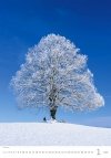 Kalendarz 14-planszowy Trees 2025 - styczeń 2025