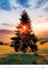 Kalendarz ścienny wieloplanszowy Trees 2025 - wrzesień 2025
