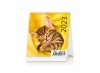 Kalendarz biurkowy 2023 Kotki (Kittens)