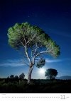 Kalendarz ścienny wieloplanszowy Trees 2025 - listopad 2025