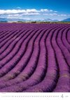 N142 Kalendarz ścienny wieloplanszowy Provence 2026