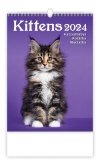 Kalendarz ścienny wieloplanszowy Kittens 2024 - okładka