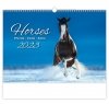Kalendarz ścienny wieloplanszowy Horses 2023 - okładka