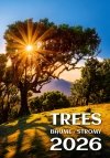 okładka kalendarza Trees wyprodukowanego przez wyd. Helma 365 na rok 2026