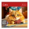 Kalendarz ścienny wieloplanszowy Cats 2022 z naklejkami - okładka