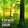 H31 Kalendarz ścienny wieloplanszowy Forest 2026