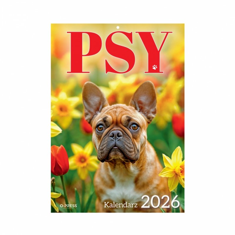 Kalendarz ścienny wieloplanszowy A4 PSY 2026