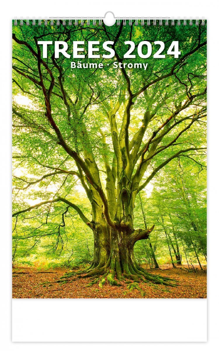 Kalendarz ścienny wieloplanszowy Trees 2024 - okładka 