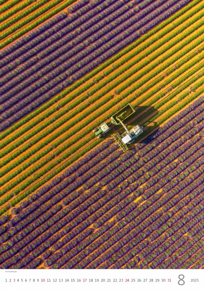 Kalendarz ścienny wieloplanszowy Provence 2025 - sierpień 2025