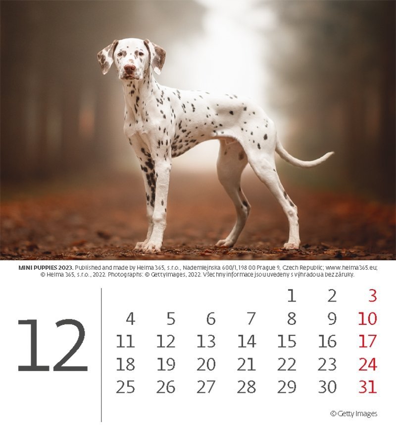 Kalendarz biurkowy 2023 Pieski (Puppies) - grudzień 2023