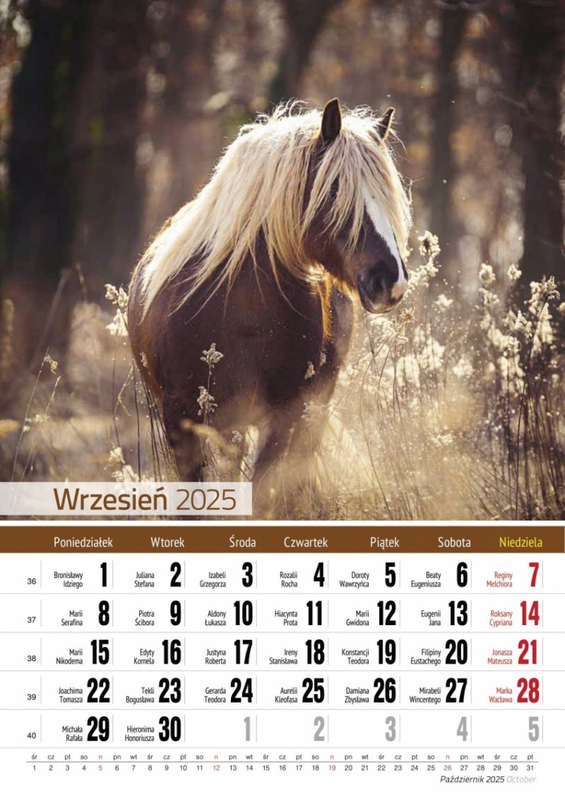 Kalendarz ścienny wieloplanszowy A4 KONIE 2025 - wrzesień 2025