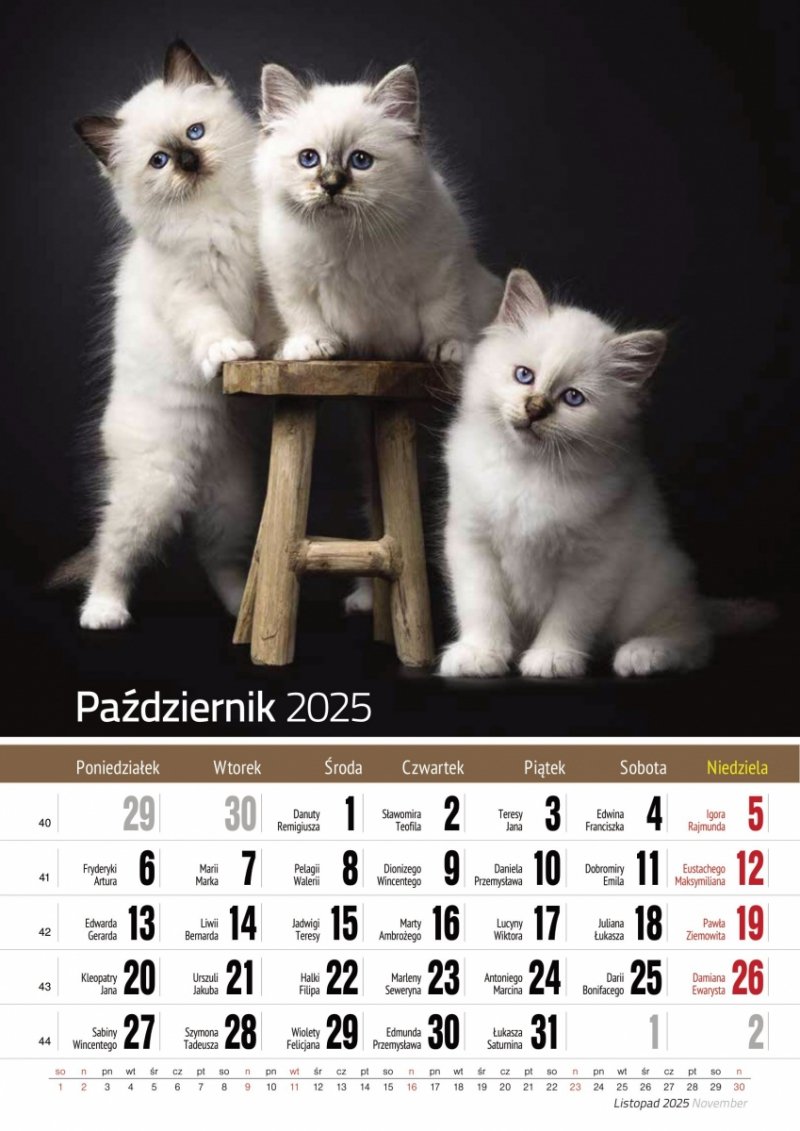 Kalendarz ścienny wieloplanszowy A4 KOTY 2025 - październik 2025