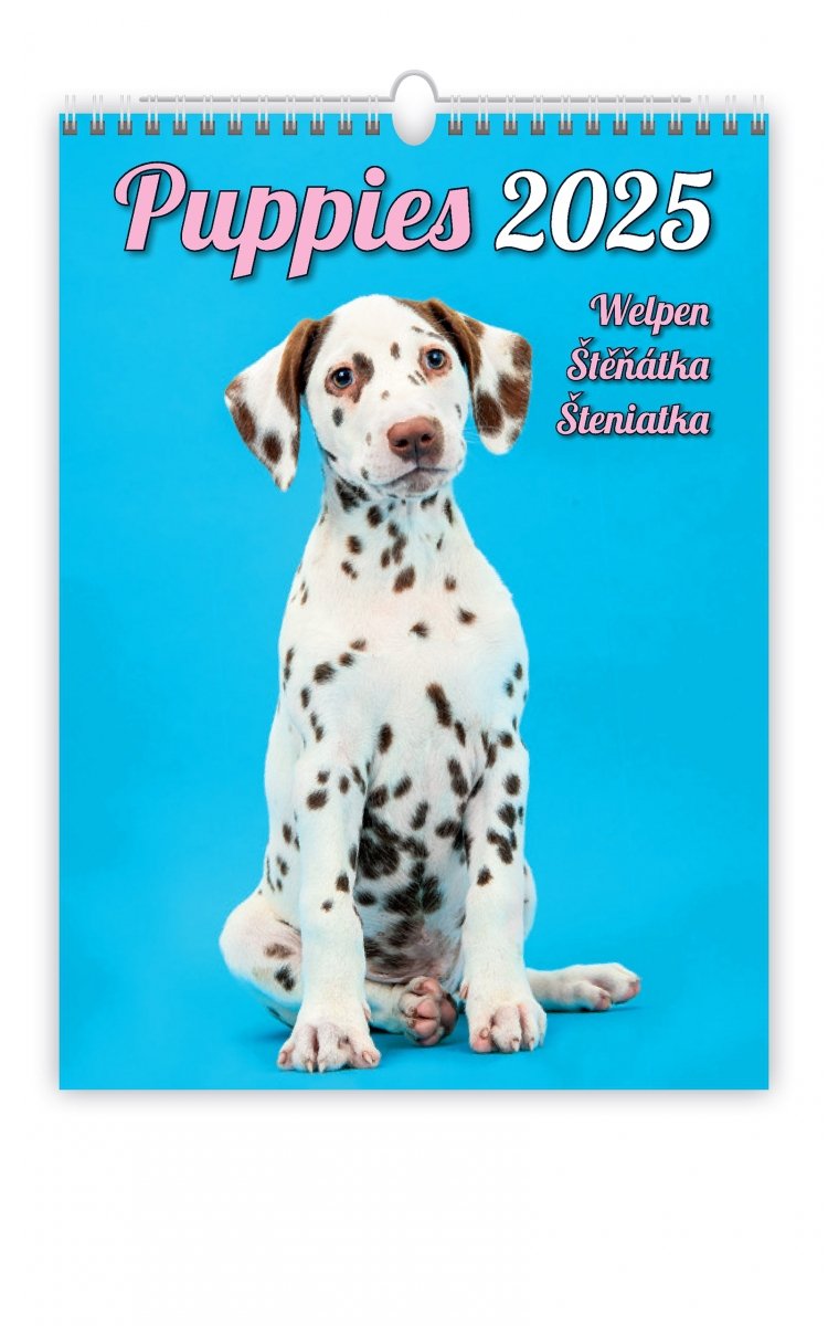 Okładka kalendarza ściennego Puppies 2025