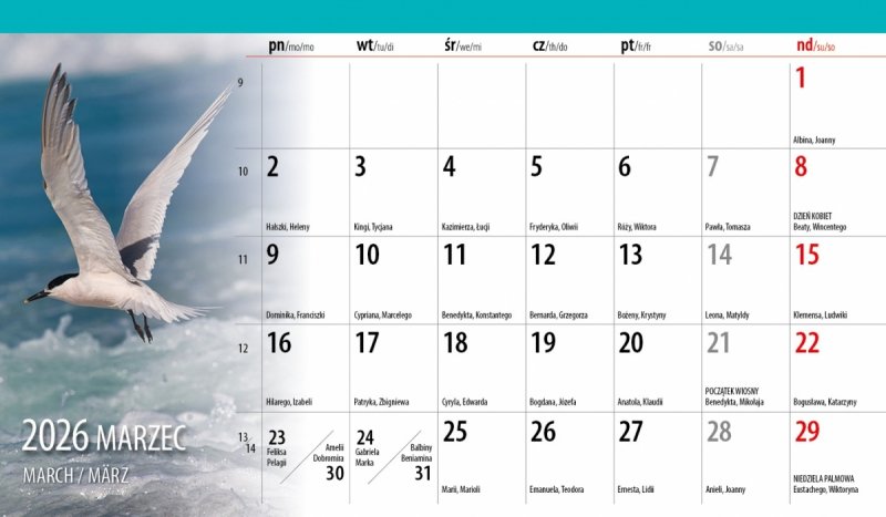 biurowy kalendarz miesięczny