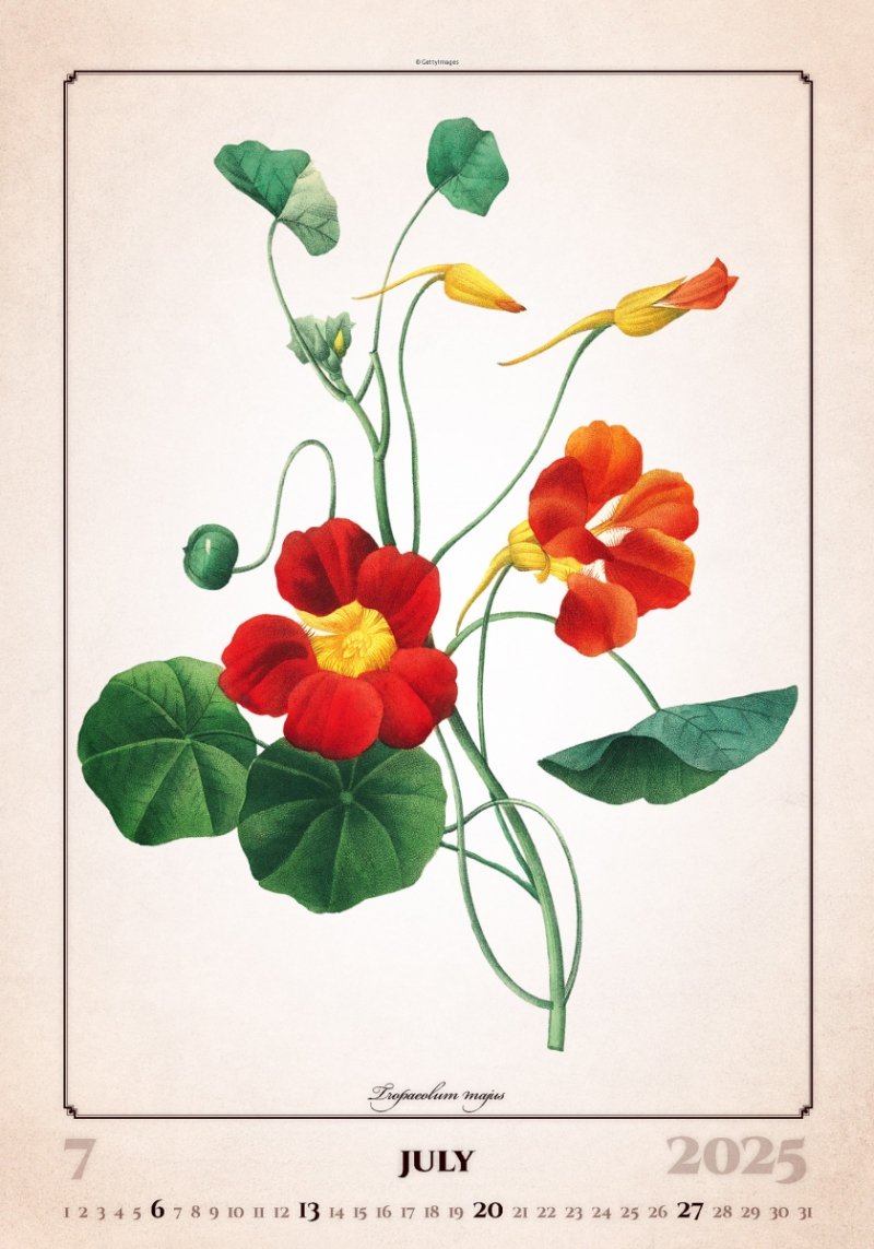 Kalendarz ścienny wieloplanszowy Herbarium 2025 - lipiec 2025