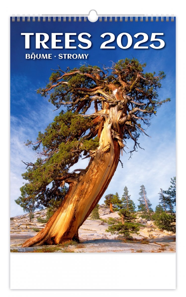 Okładka kalendarza ściennego Trees 2025