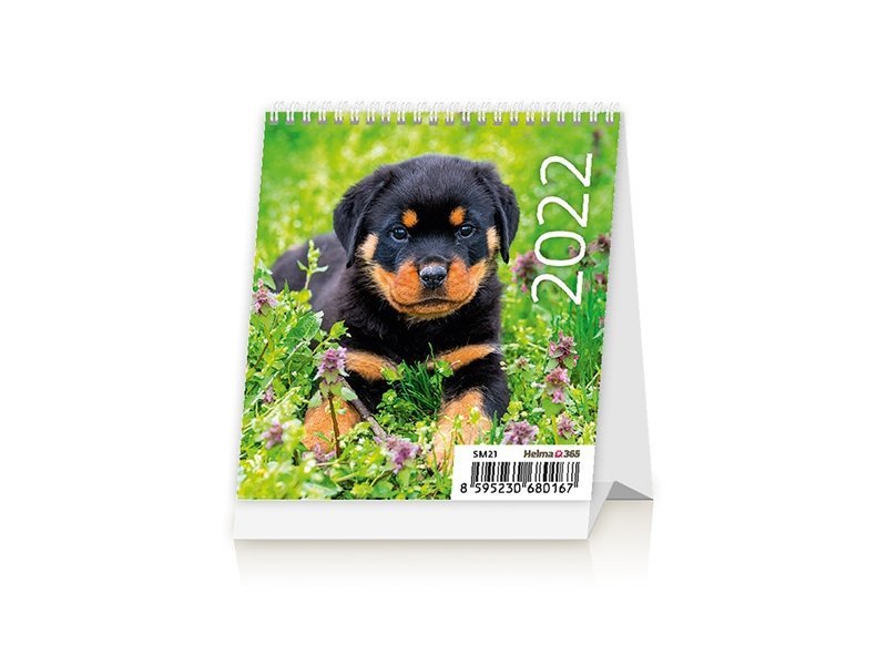 Kalendarz biurkowy 2022 Pieski (Puppies)