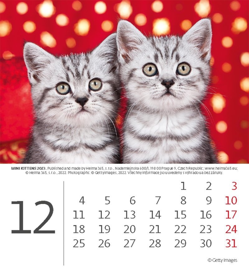 Kalendarz biurkowy 2023 Kotki (Kittens) - grudzień 2023